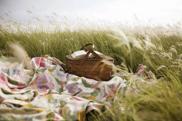 01_picnic