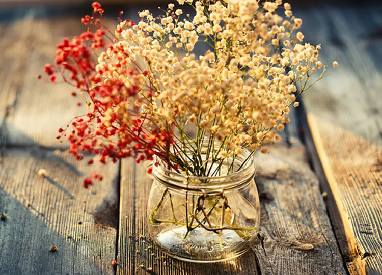 AUTUMN_02
