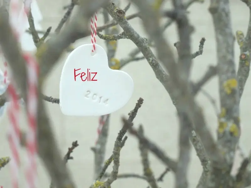 FELIZ 2014