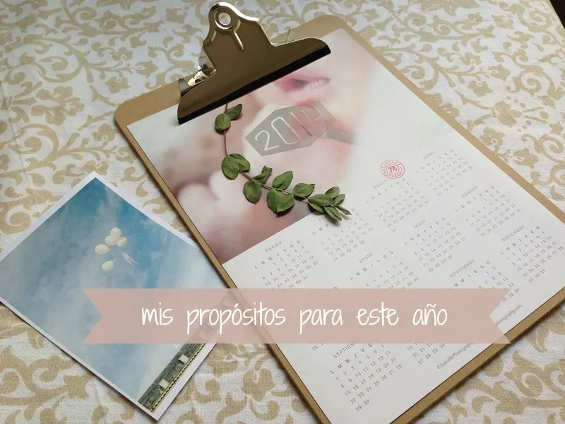 propositos 2014