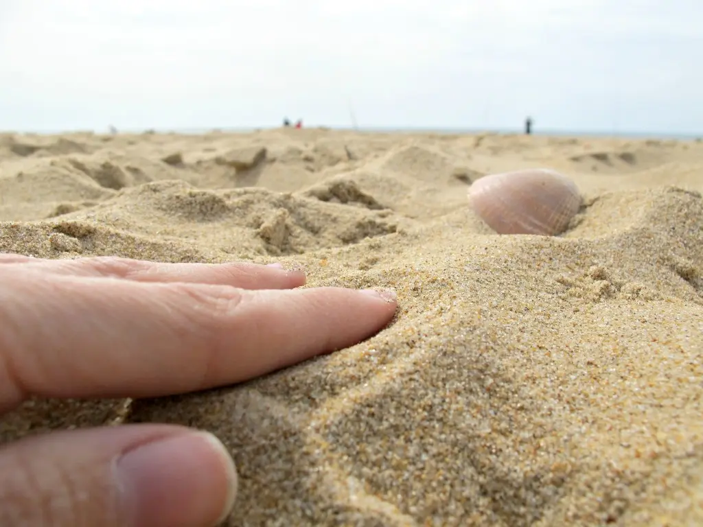 Vacaciones en Huelva_06