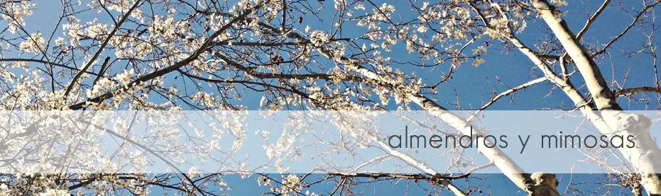 Paseos en Madrid entre almendros y mimosas