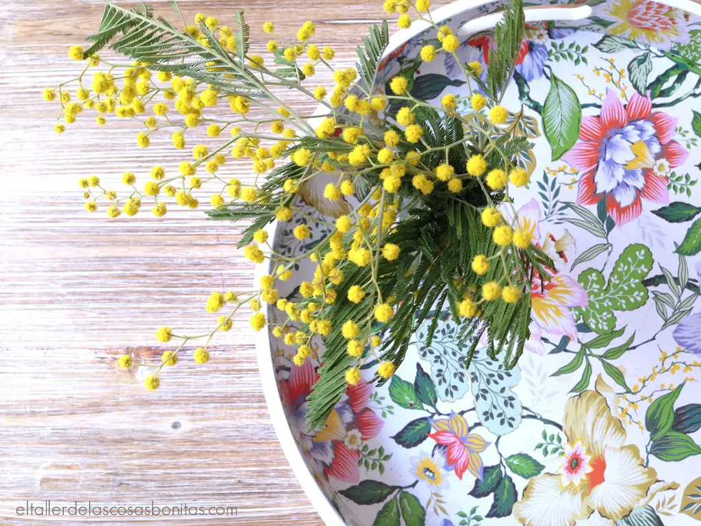 almendros y mimosas_05