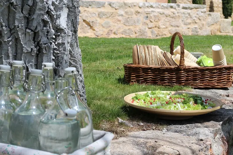 picnic