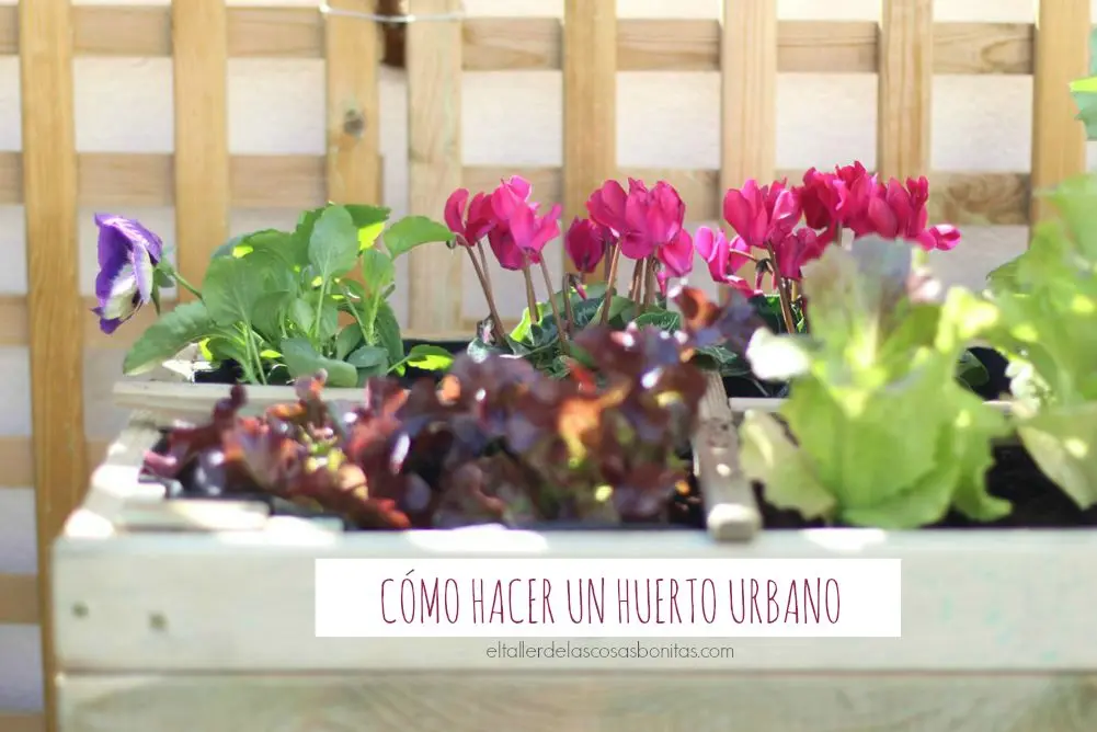 Los huertos no sólo son para verano