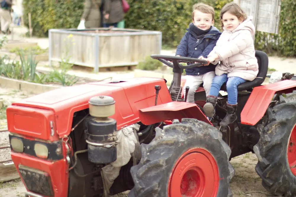Una mañana en la huerta con niños 1