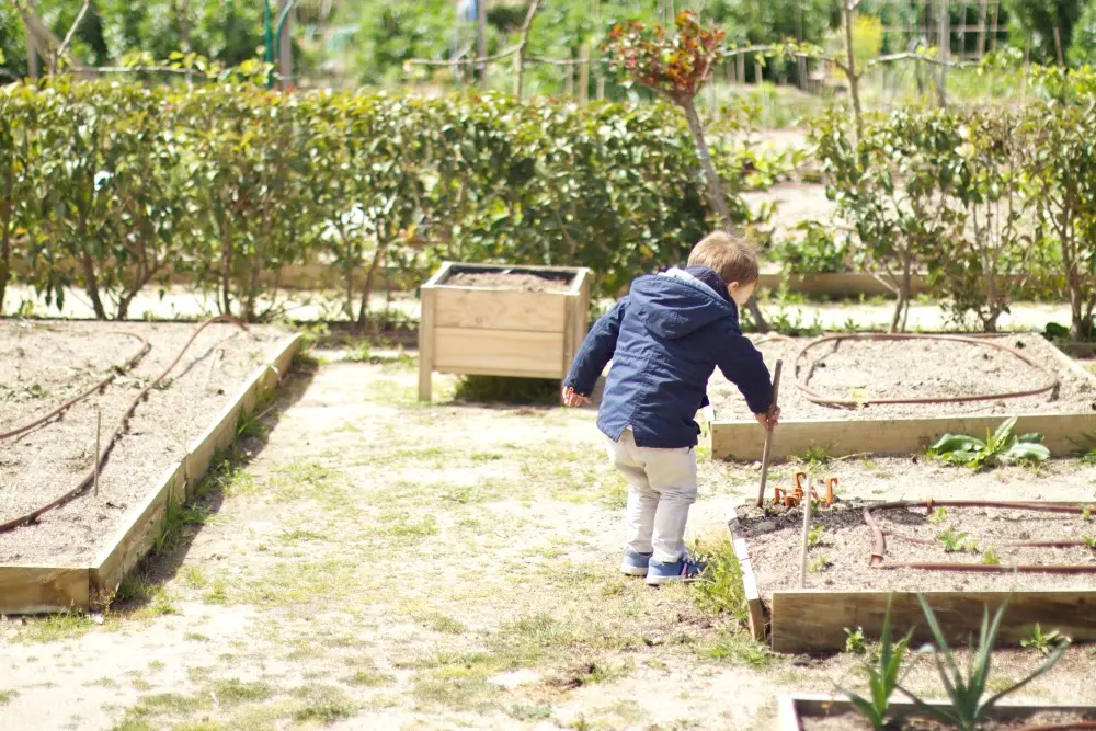 Una mañana en la huerta con niños 10