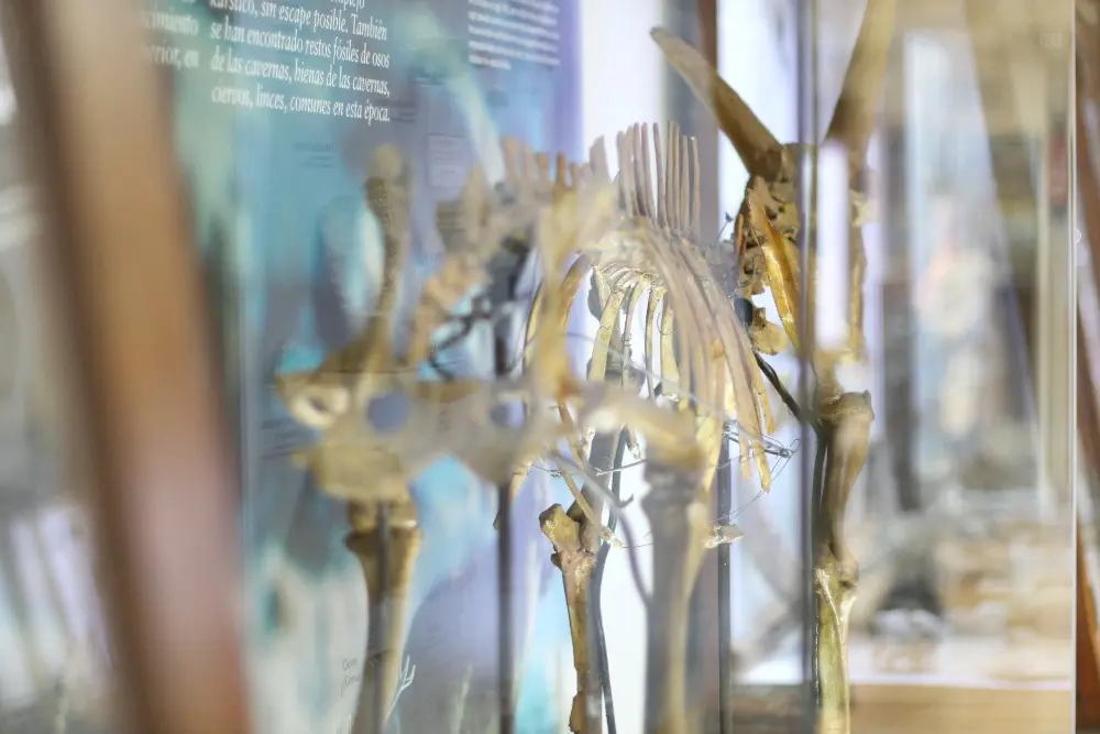 Museo Geominero en Madrid con niños 14